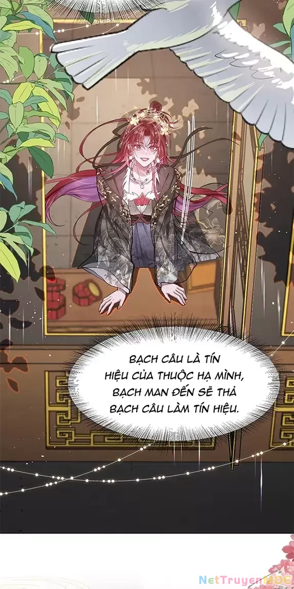 Nuông Chiều Mỹ Nhân Cuồng Nhiệt Chapter 26 - Trang 4