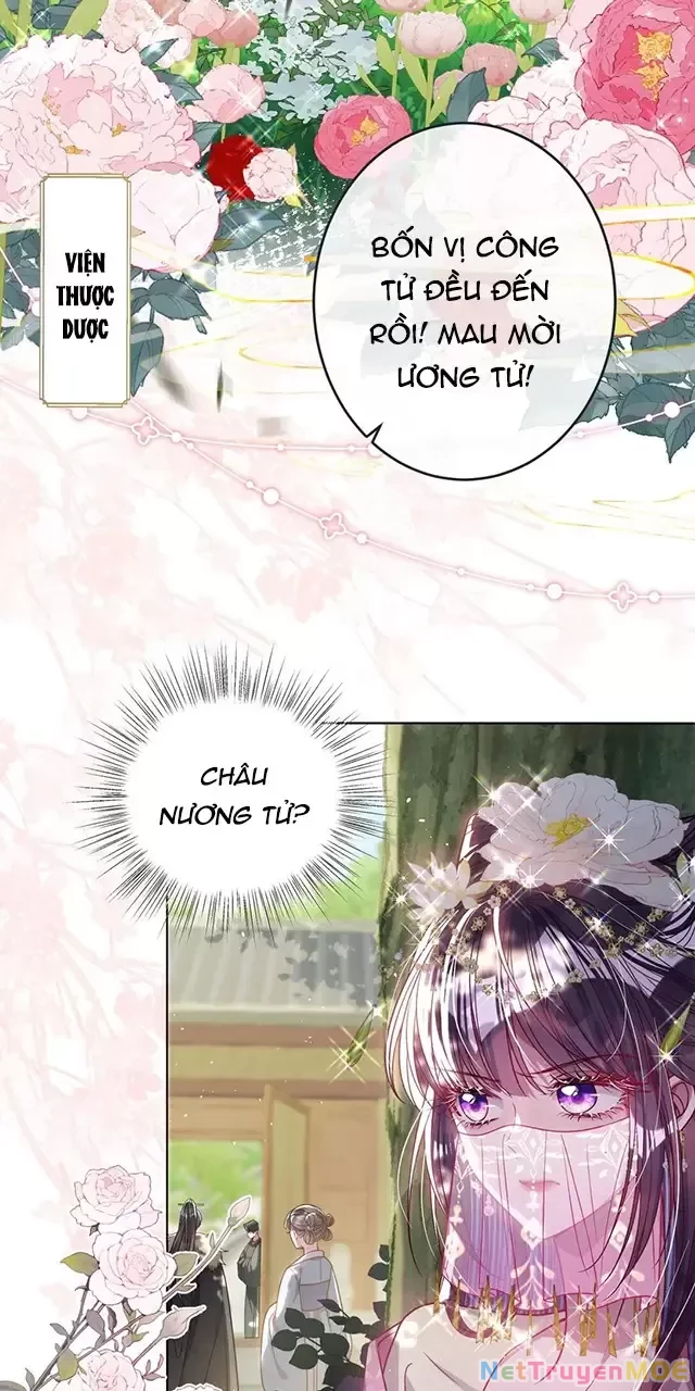 Nuông Chiều Mỹ Nhân Cuồng Nhiệt Chapter 26 - Trang 4