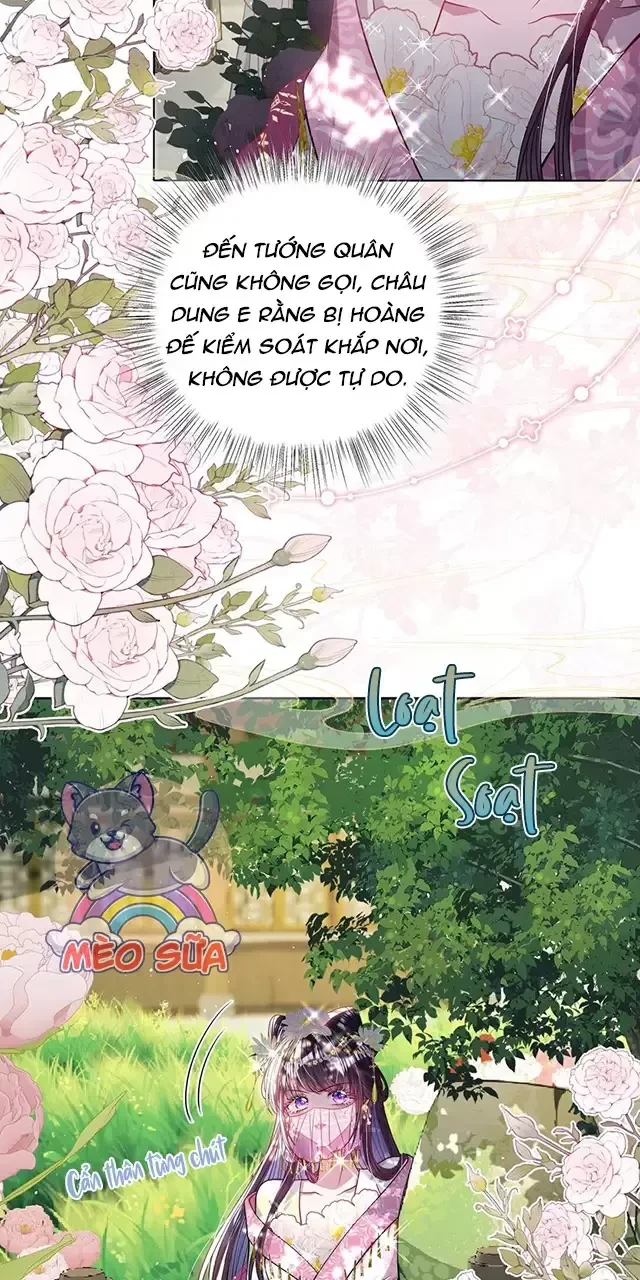 Nuông Chiều Mỹ Nhân Cuồng Nhiệt Chapter 26 - Trang 4