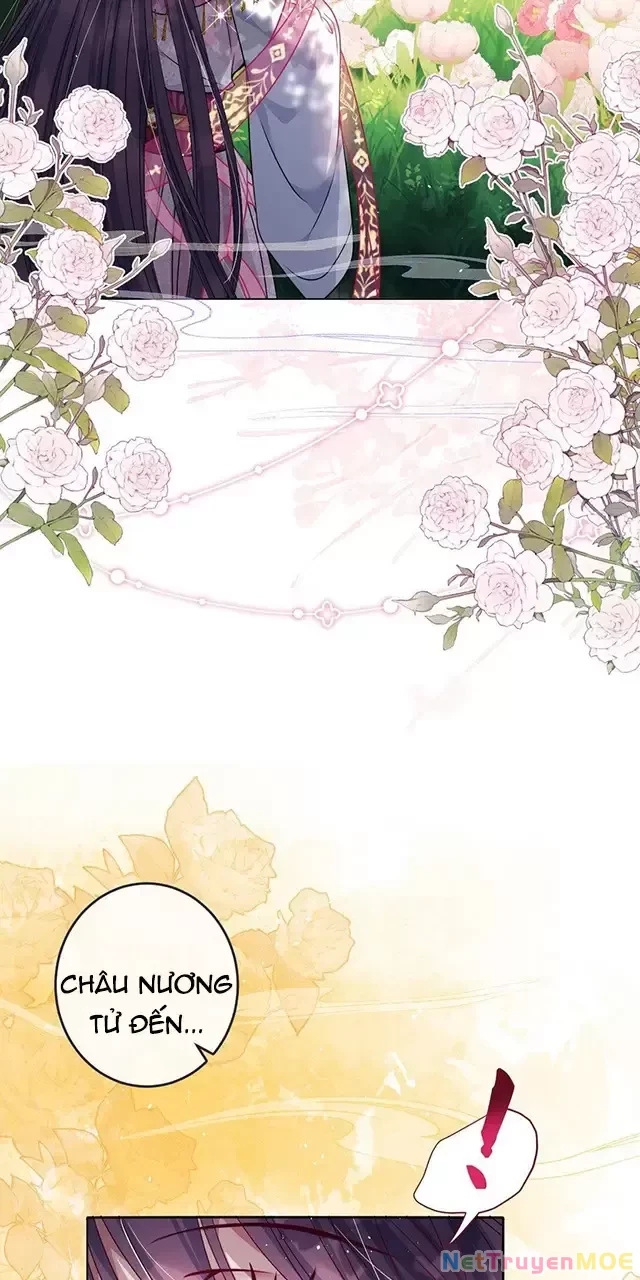 Nuông Chiều Mỹ Nhân Cuồng Nhiệt Chapter 26 - Trang 4