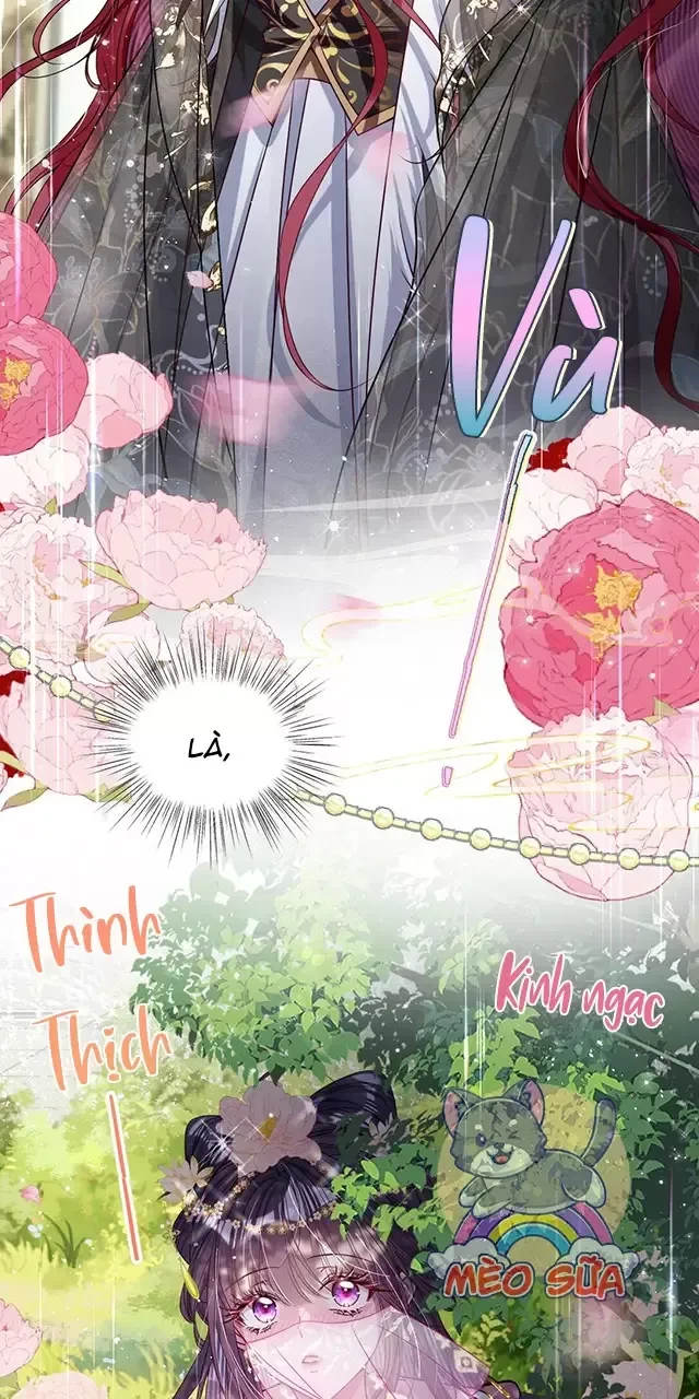Nuông Chiều Mỹ Nhân Cuồng Nhiệt Chapter 26 - Trang 4
