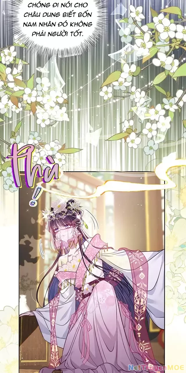 Nuông Chiều Mỹ Nhân Cuồng Nhiệt Chapter 26 - Trang 4