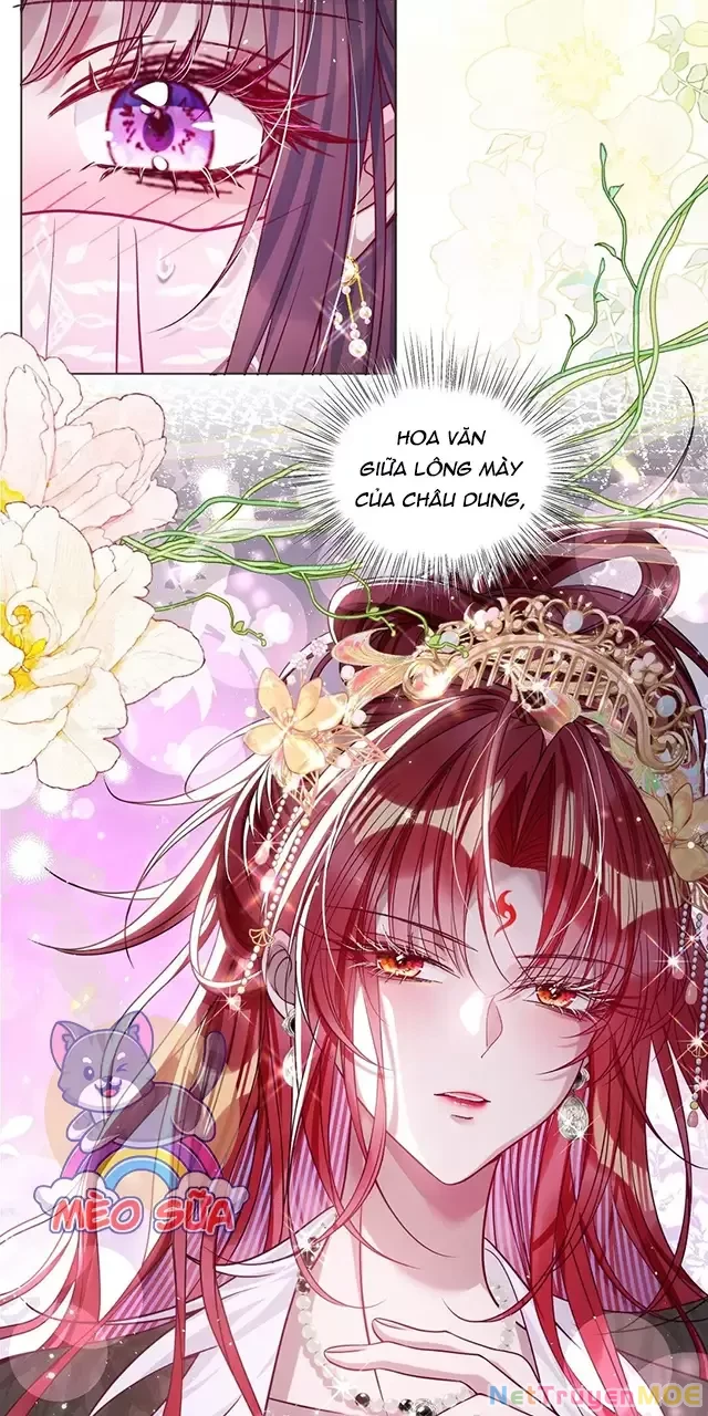 Nuông Chiều Mỹ Nhân Cuồng Nhiệt Chapter 26 - Trang 4