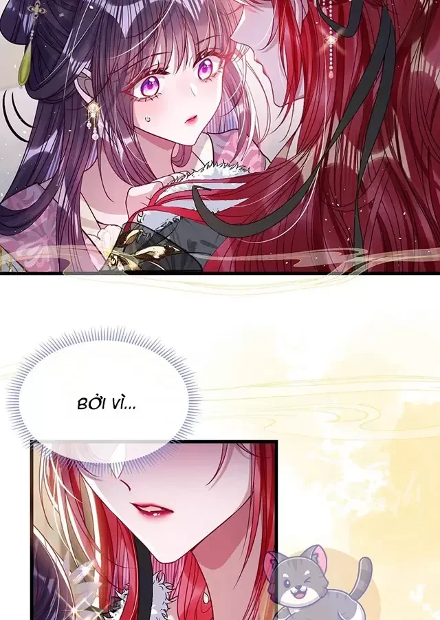 Nuông Chiều Mỹ Nhân Cuồng Nhiệt Chapter 27 - Trang 4