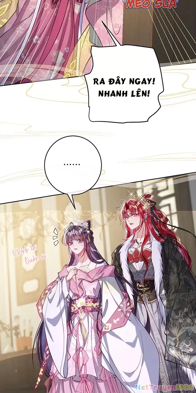 Nuông Chiều Mỹ Nhân Cuồng Nhiệt Chapter 31 - Trang 4