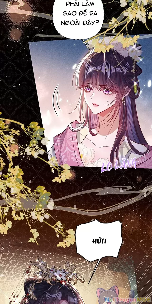 Nuông Chiều Mỹ Nhân Cuồng Nhiệt Chapter 31 - Trang 4