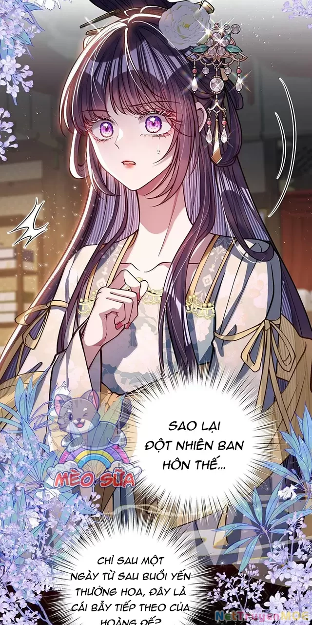 Nuông Chiều Mỹ Nhân Cuồng Nhiệt Chapter 33 - Trang 4