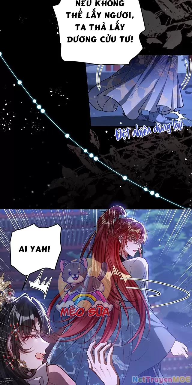 Nuông Chiều Mỹ Nhân Cuồng Nhiệt Chapter 36 - Trang 4
