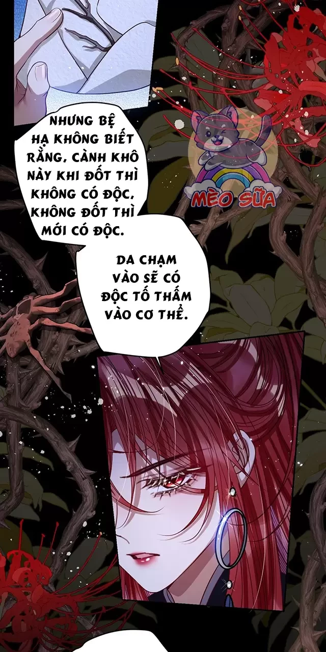 Nuông Chiều Mỹ Nhân Cuồng Nhiệt Chapter 36 - Trang 4