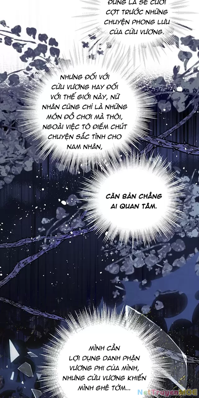 Nuông Chiều Mỹ Nhân Cuồng Nhiệt Chapter 40 - Trang 4