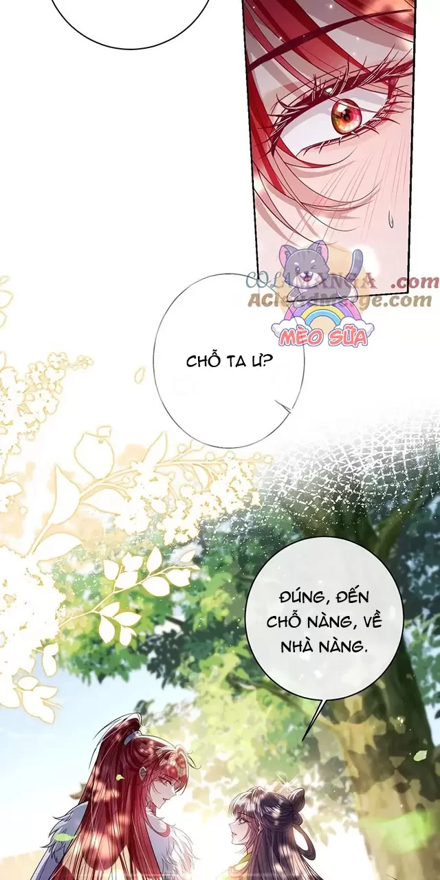 Nuông Chiều Mỹ Nhân Cuồng Nhiệt Chapter 41 - Trang 4