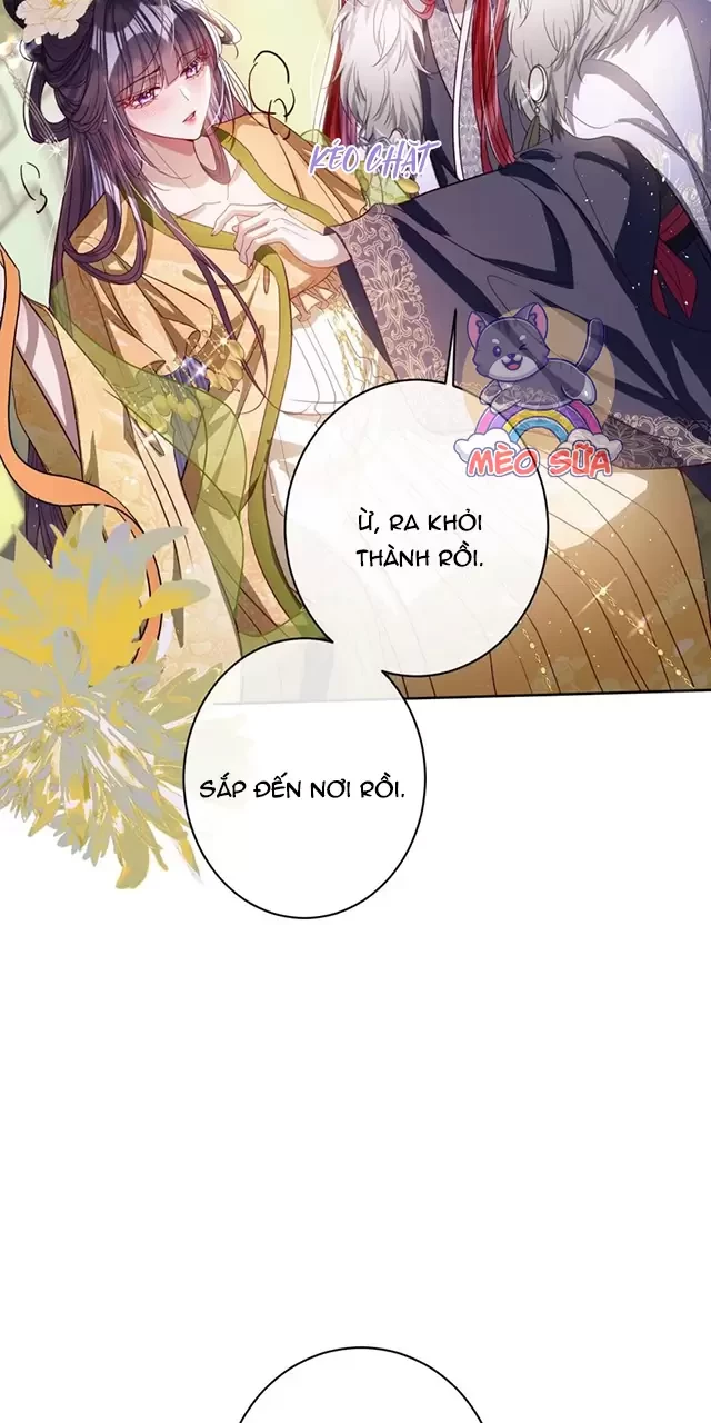 Nuông Chiều Mỹ Nhân Cuồng Nhiệt Chapter 43 - Trang 4