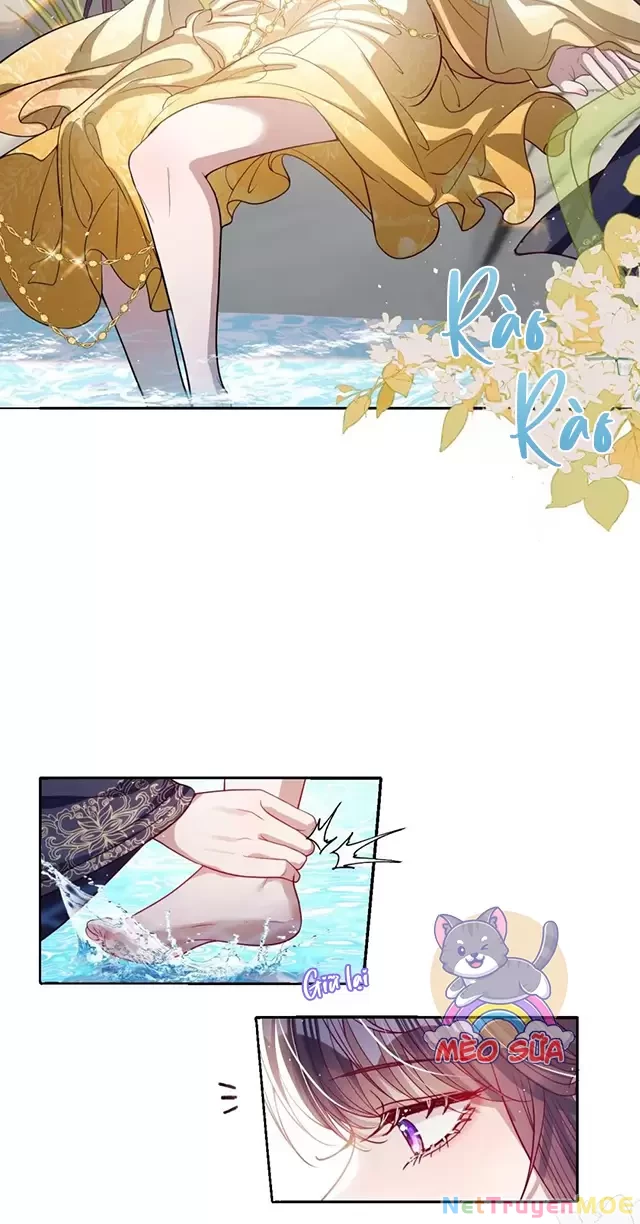 Nuông Chiều Mỹ Nhân Cuồng Nhiệt Chapter 43 - Trang 4