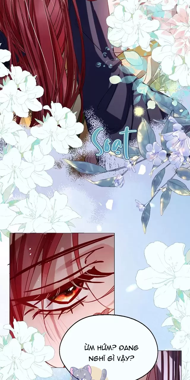 Nuông Chiều Mỹ Nhân Cuồng Nhiệt Chapter 44 - Trang 4