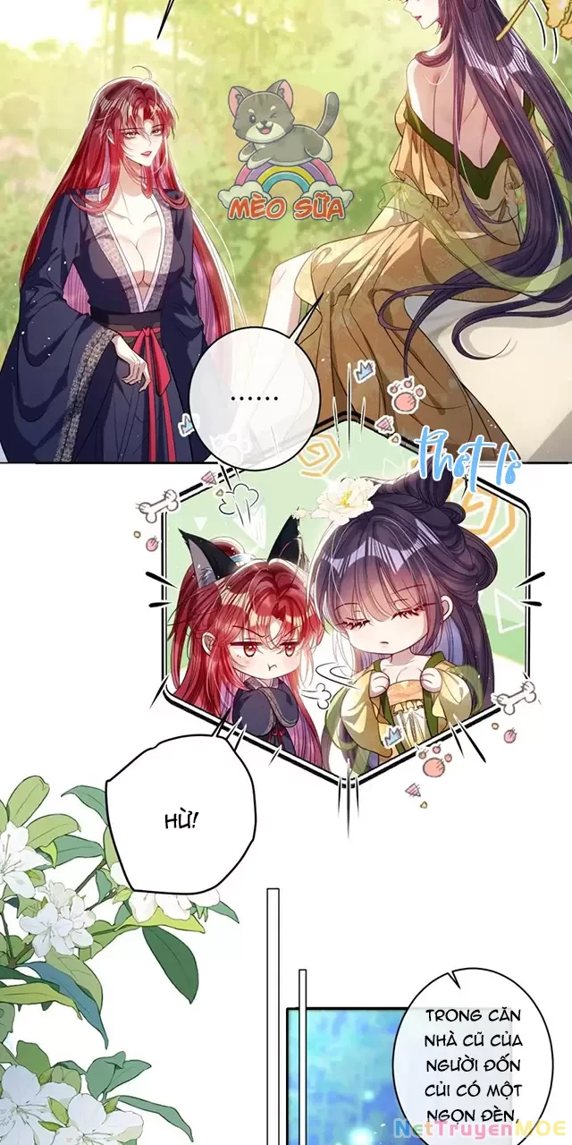 Nuông Chiều Mỹ Nhân Cuồng Nhiệt Chapter 44 - Trang 4
