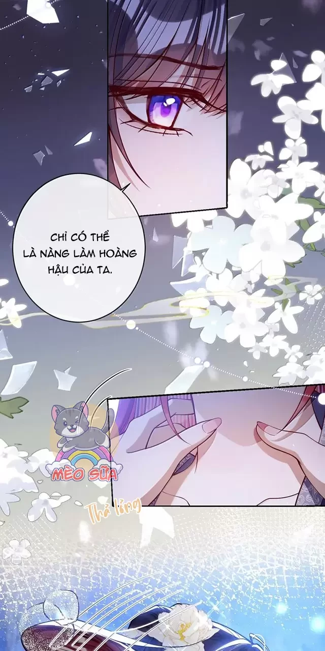Nuông Chiều Mỹ Nhân Cuồng Nhiệt Chapter 46 - Trang 4