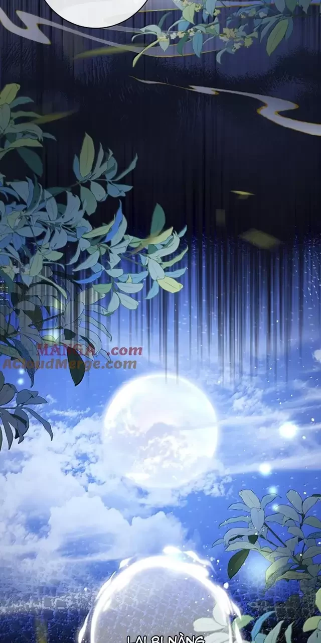 Nuông Chiều Mỹ Nhân Cuồng Nhiệt Chapter 47 - Trang 4