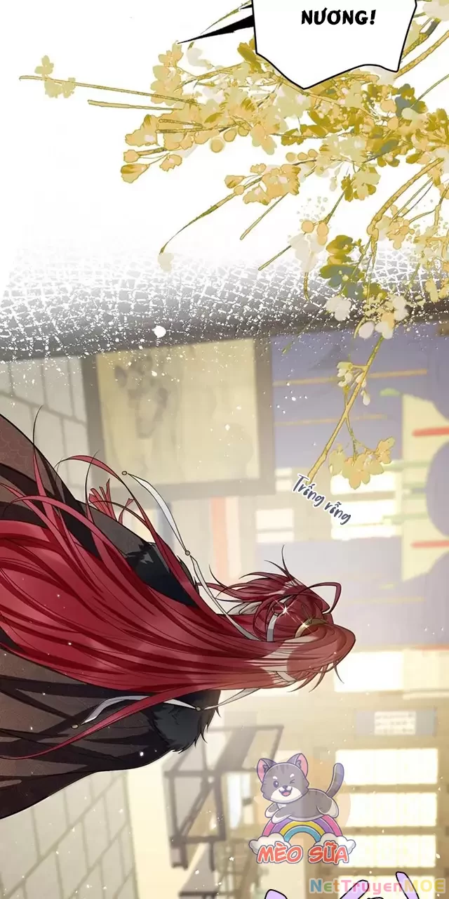 Nuông Chiều Mỹ Nhân Cuồng Nhiệt Chapter 47 - Trang 4