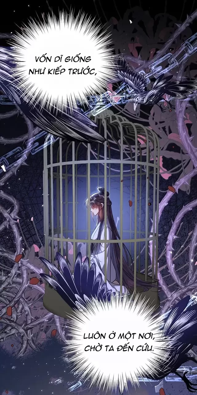 Nuông Chiều Mỹ Nhân Cuồng Nhiệt Chapter 47 - Trang 4