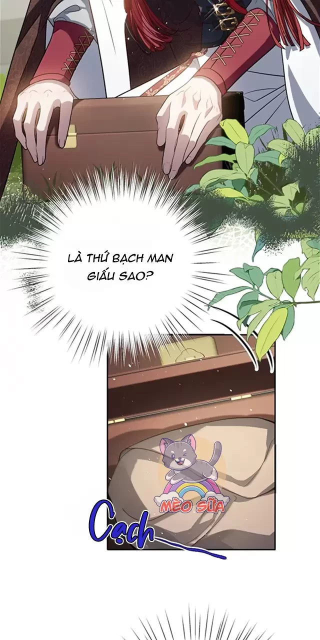 Nuông Chiều Mỹ Nhân Cuồng Nhiệt Chapter 48 - Trang 4