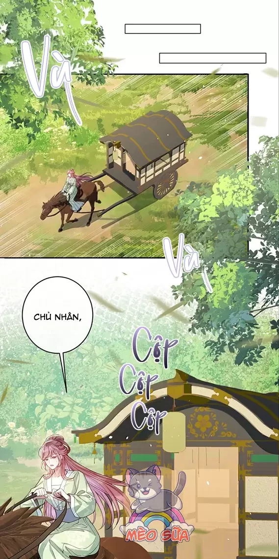 Nuông Chiều Mỹ Nhân Cuồng Nhiệt Chapter 50 - Trang 4