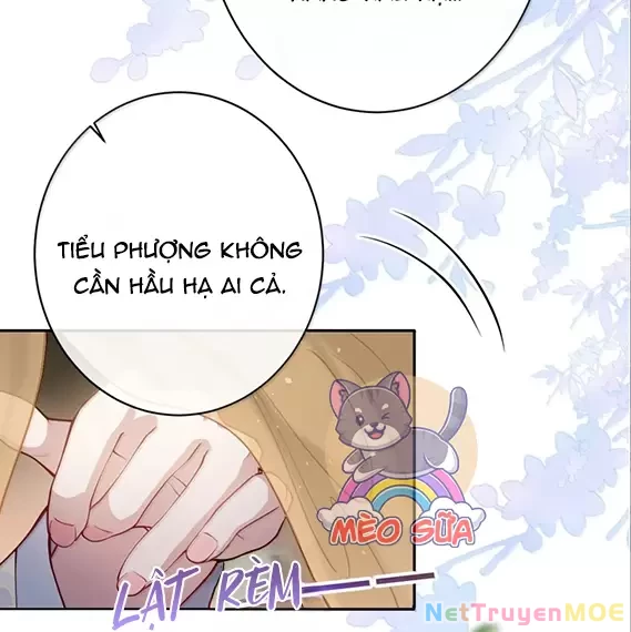 Nuông Chiều Mỹ Nhân Cuồng Nhiệt Chapter 50 - Trang 4