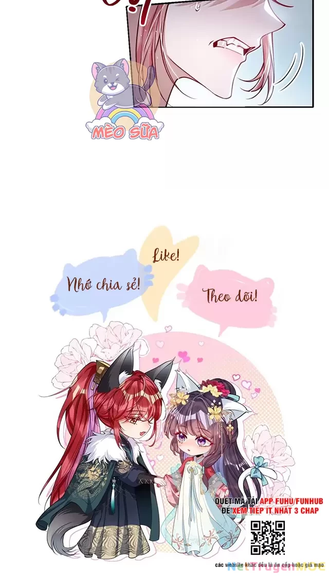 Nuông Chiều Mỹ Nhân Cuồng Nhiệt Chapter 50 - Trang 4