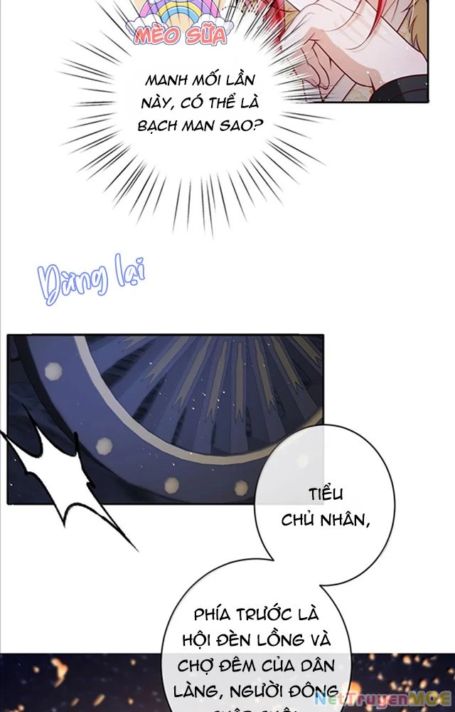 Nuông Chiều Mỹ Nhân Cuồng Nhiệt Chapter 51 - Trang 4
