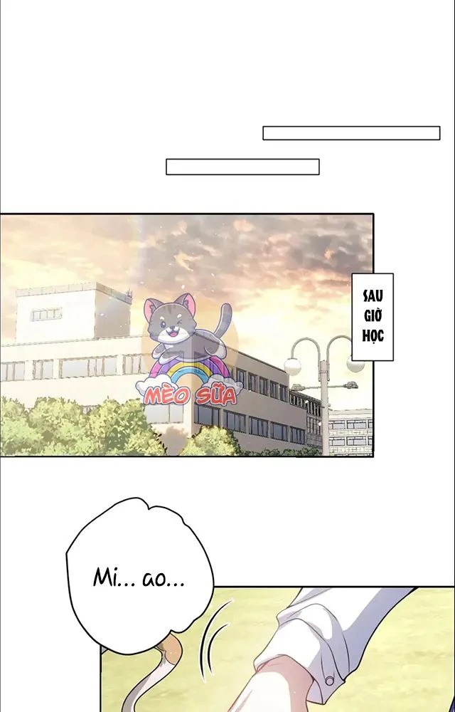Nuông Chiều Mỹ Nhân Cuồng Nhiệt Chapter 52.1 - Trang 2