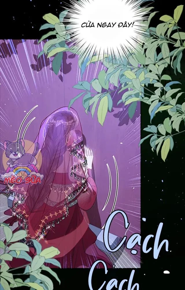 Nuông Chiều Mỹ Nhân Cuồng Nhiệt Chapter 53 - Trang 4