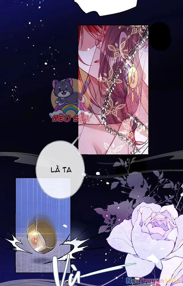Nuông Chiều Mỹ Nhân Cuồng Nhiệt Chapter 53 - Trang 4