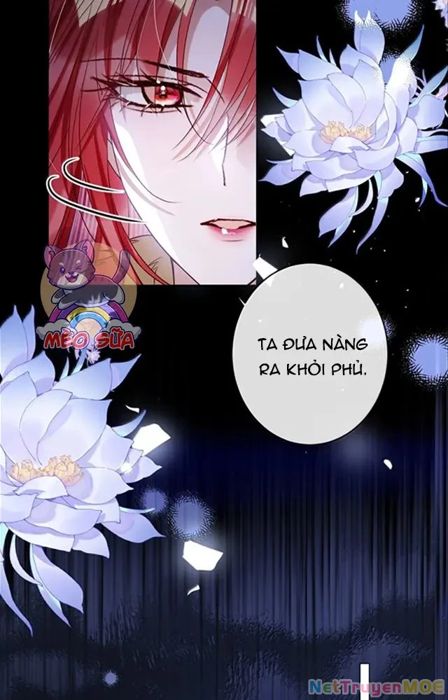 Nuông Chiều Mỹ Nhân Cuồng Nhiệt Chapter 53 - Trang 4