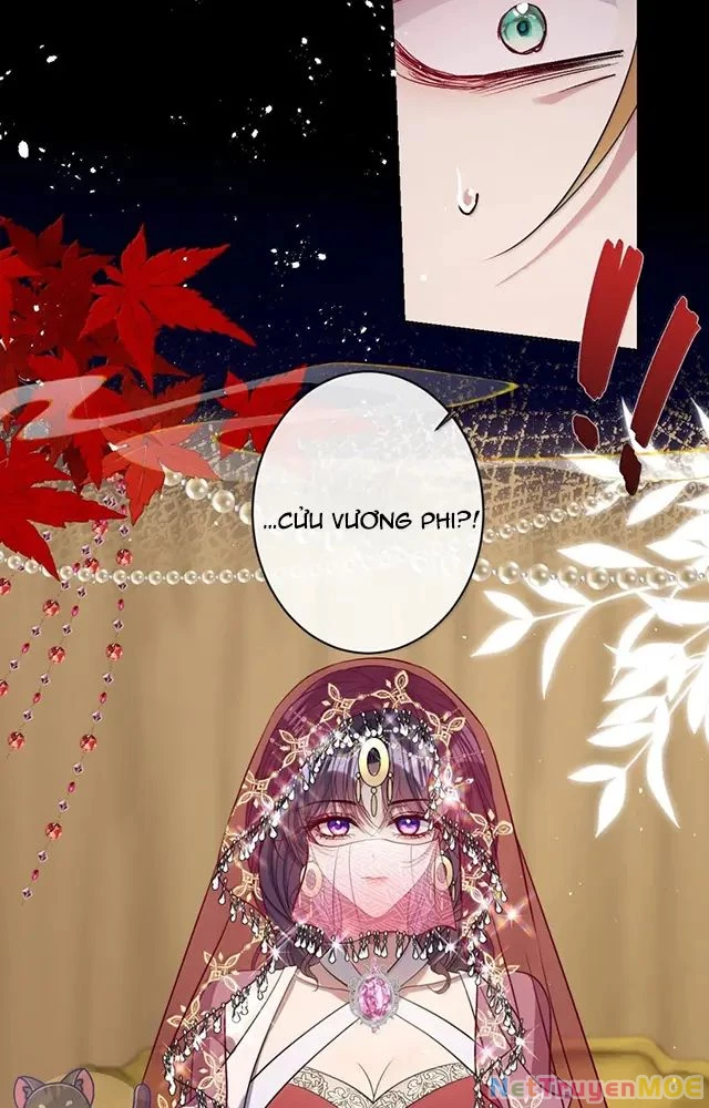 Nuông Chiều Mỹ Nhân Cuồng Nhiệt Chapter 54 - Trang 4
