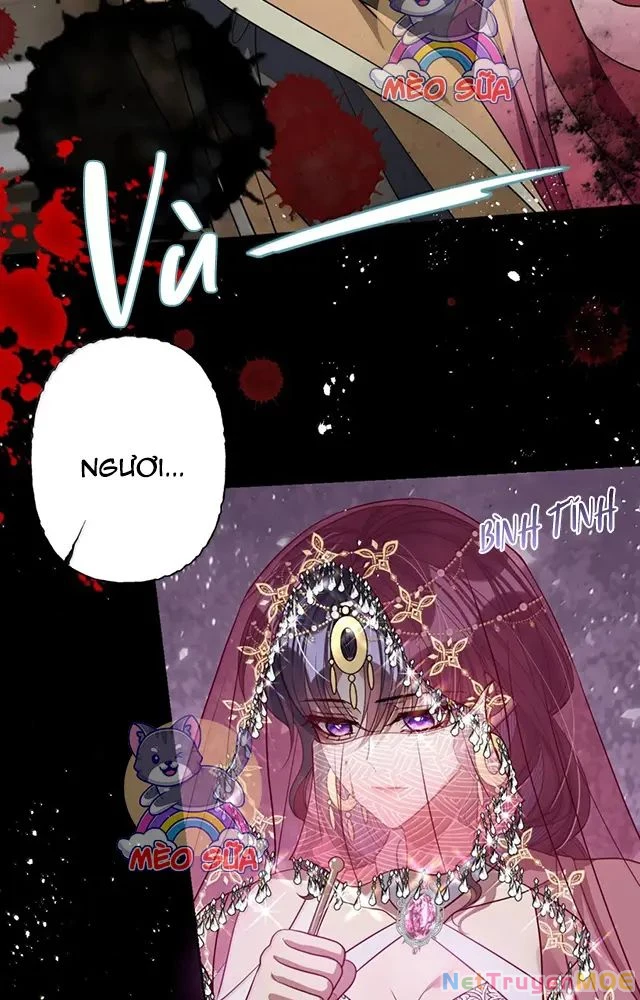 Nuông Chiều Mỹ Nhân Cuồng Nhiệt Chapter 54 - Trang 4
