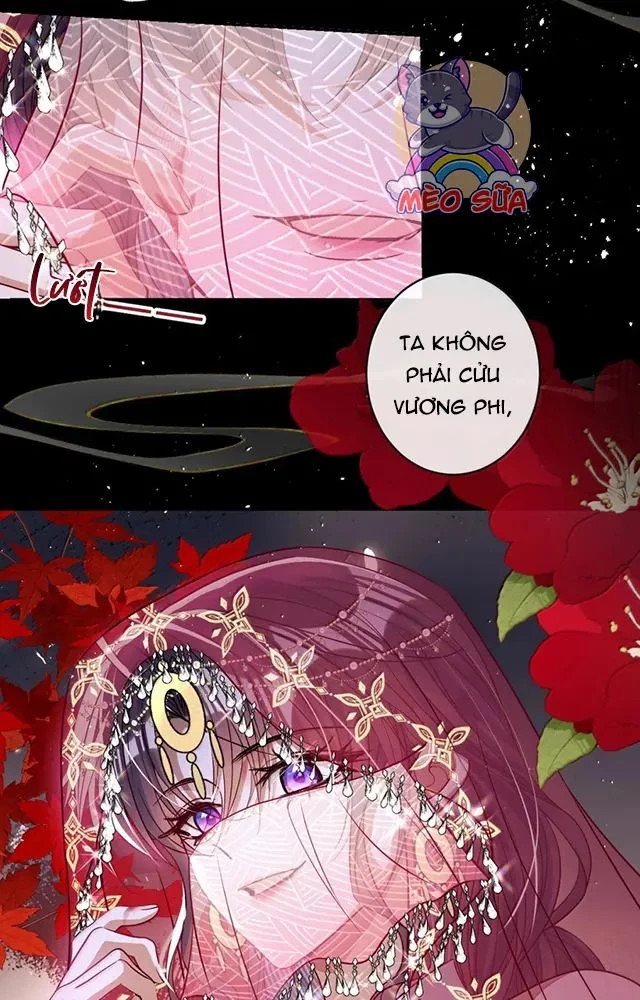 Nuông Chiều Mỹ Nhân Cuồng Nhiệt Chapter 54 - Trang 4