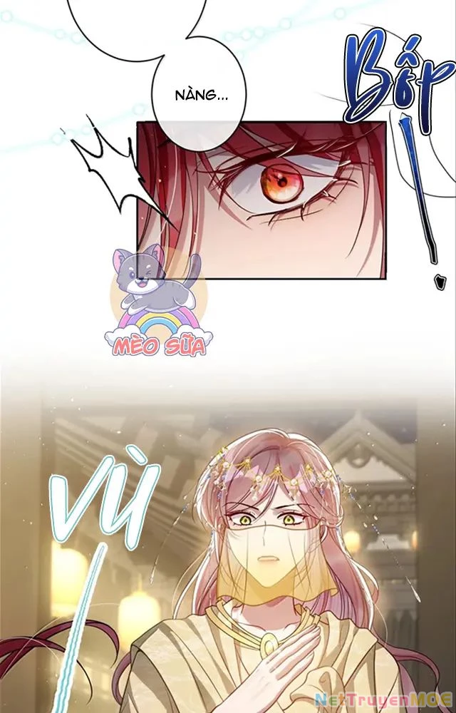 Nuông Chiều Mỹ Nhân Cuồng Nhiệt Chapter 54 - Trang 4