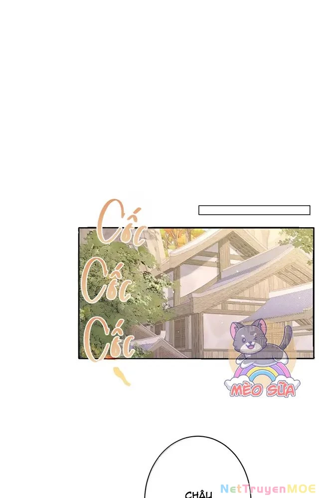 Nuông Chiều Mỹ Nhân Cuồng Nhiệt Chapter 56 - Trang 4