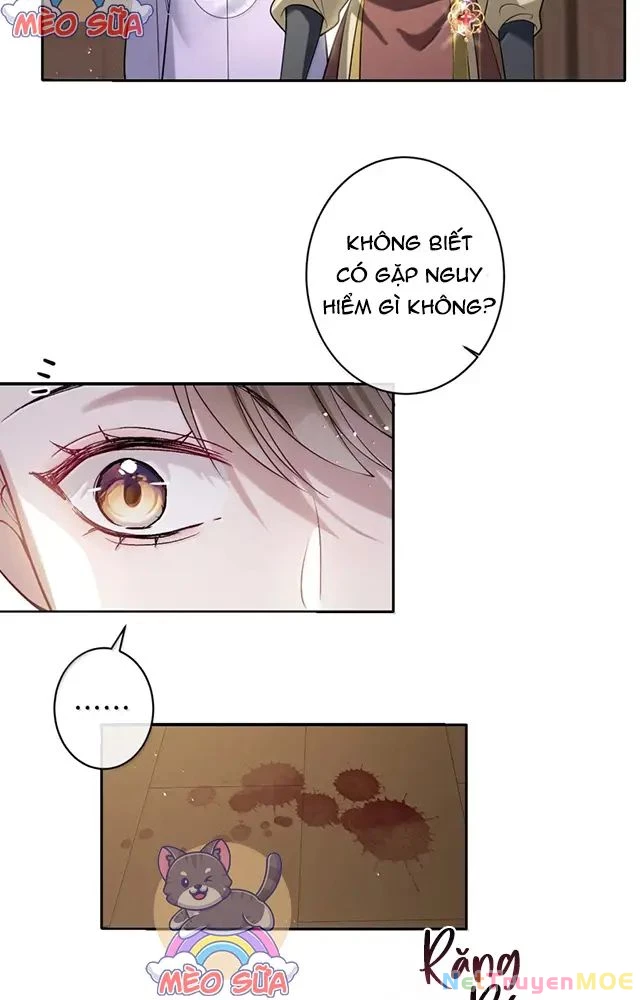 Nuông Chiều Mỹ Nhân Cuồng Nhiệt Chapter 56 - Trang 4