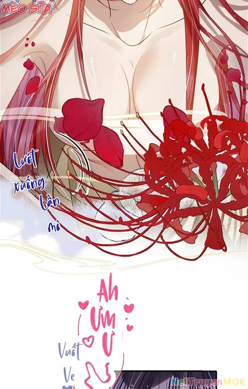 Nuông Chiều Mỹ Nhân Cuồng Nhiệt Chapter 57 - Trang 4