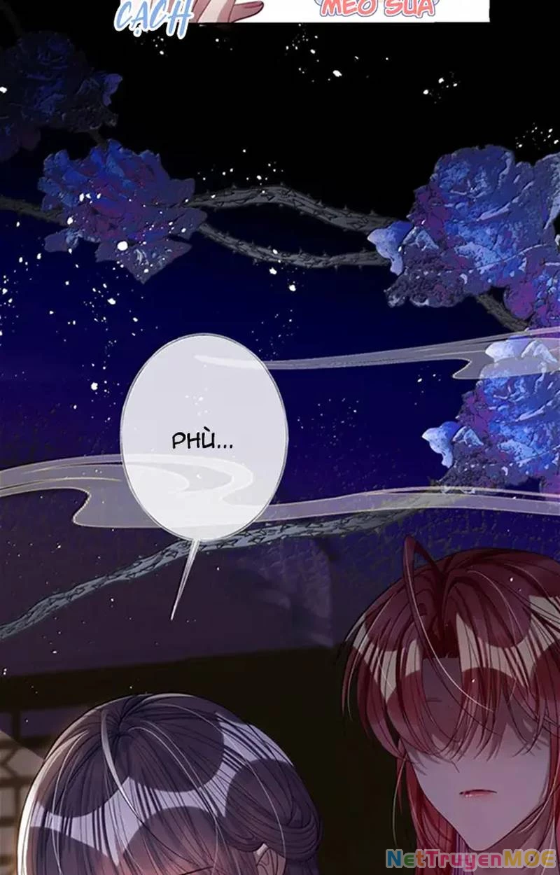 Nuông Chiều Mỹ Nhân Cuồng Nhiệt Chapter 57 - Trang 4