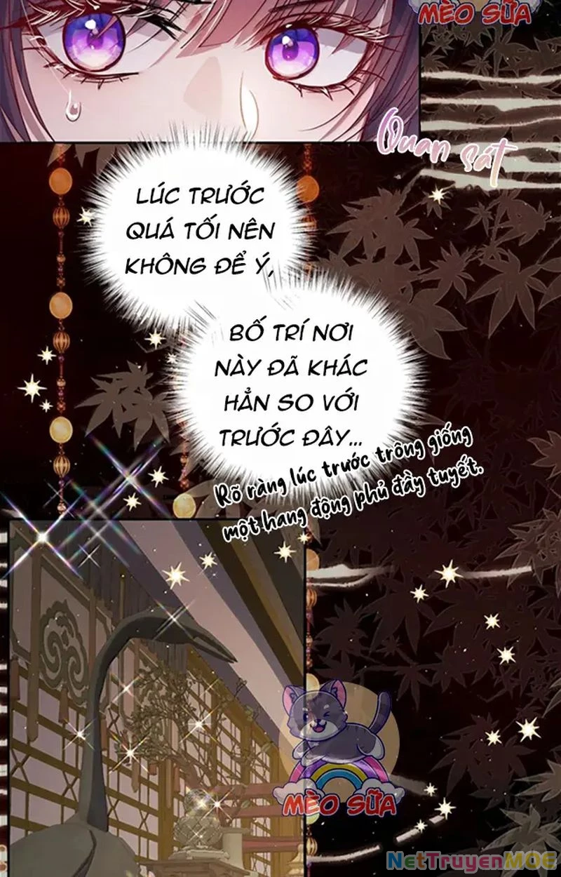Nuông Chiều Mỹ Nhân Cuồng Nhiệt Chapter 58 - Trang 4