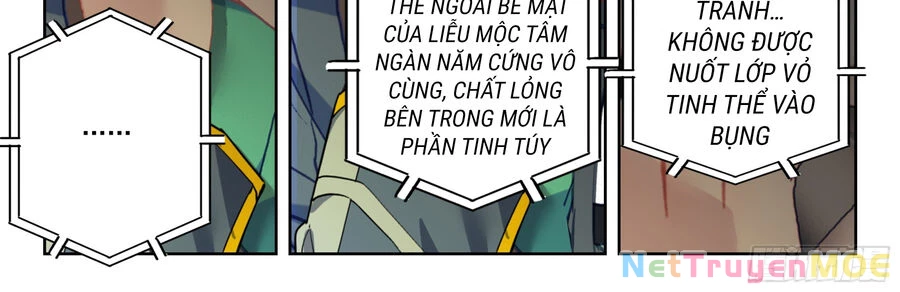Thôn Phệ Tinh Không Chapter 145 - Trang 3