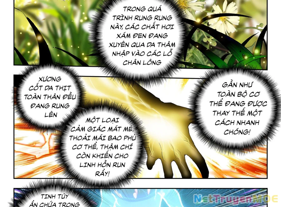 Thôn Phệ Tinh Không Chapter 145 - Trang 3