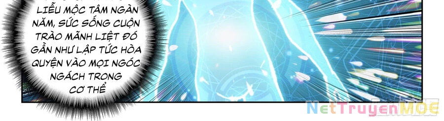 Thôn Phệ Tinh Không Chapter 145 - Trang 3