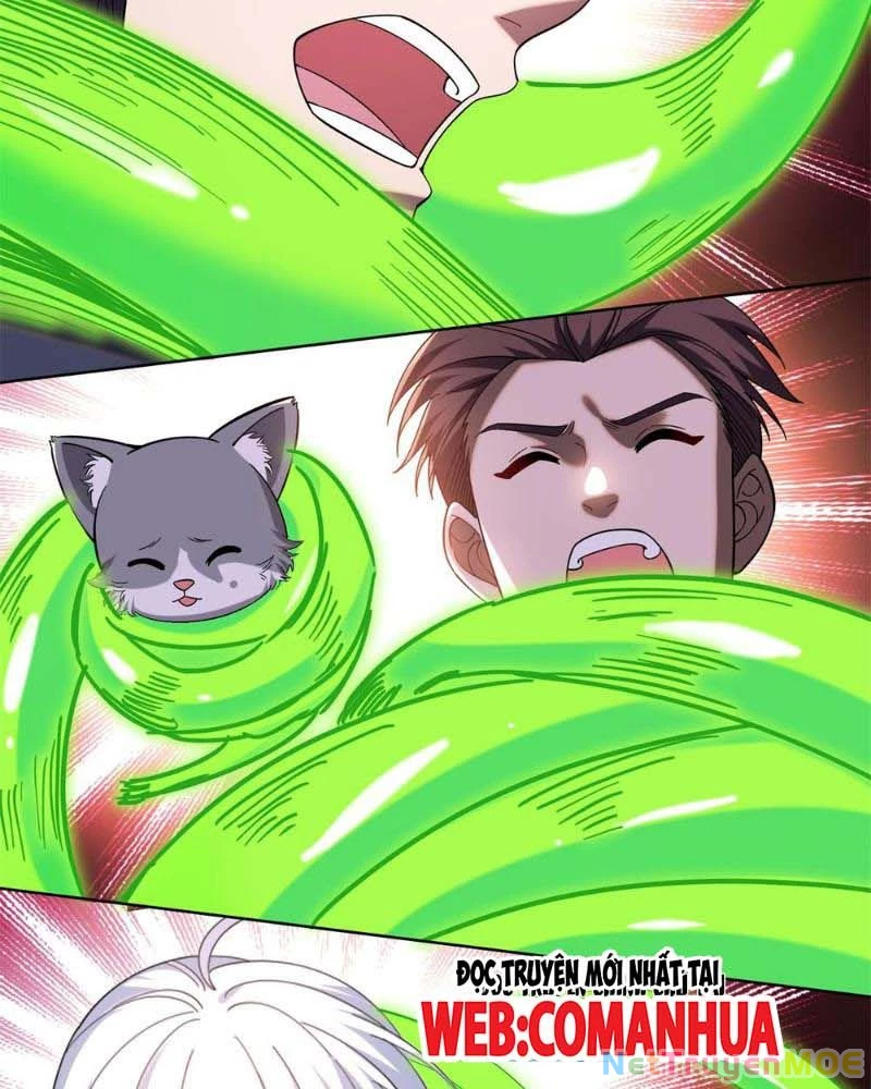 Huyễn Thú Của Ta Có Thể Tiến Hóa Vô Hạn Chapter 7 - Trang 3