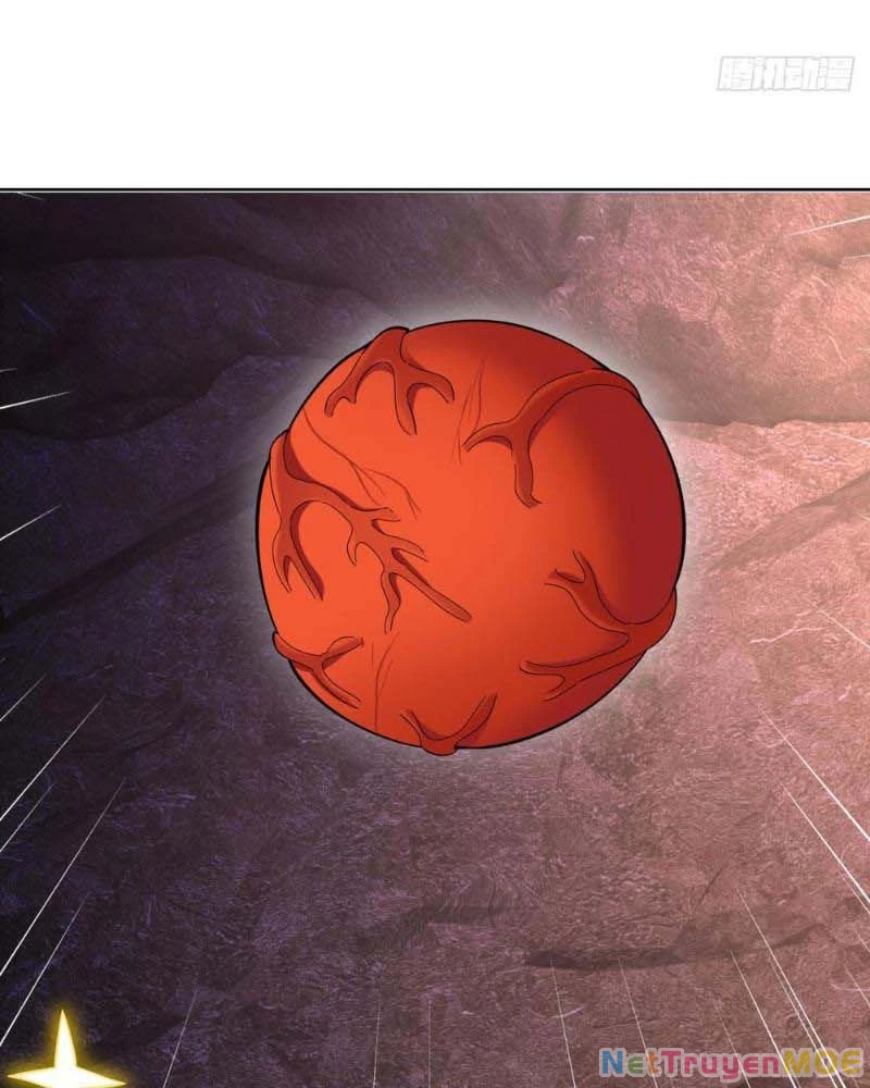 Huyễn Thú Của Ta Có Thể Tiến Hóa Vô Hạn Chapter 8 - Trang 3