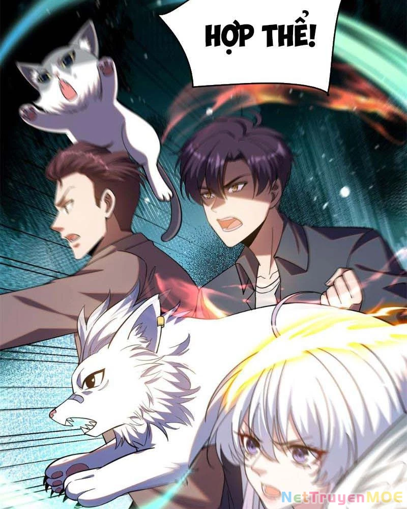 Huyễn Thú Của Ta Có Thể Tiến Hóa Vô Hạn Chapter 8 - Trang 3