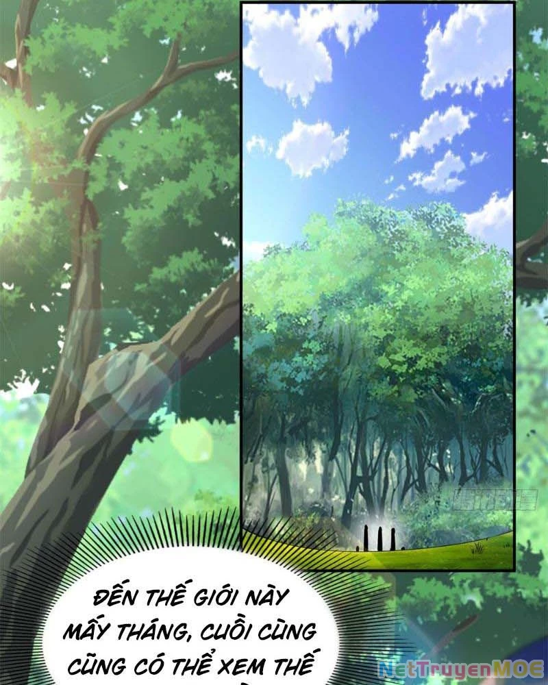 Huyễn Thú Của Ta Có Thể Tiến Hóa Vô Hạn Chapter 11 - Trang 3