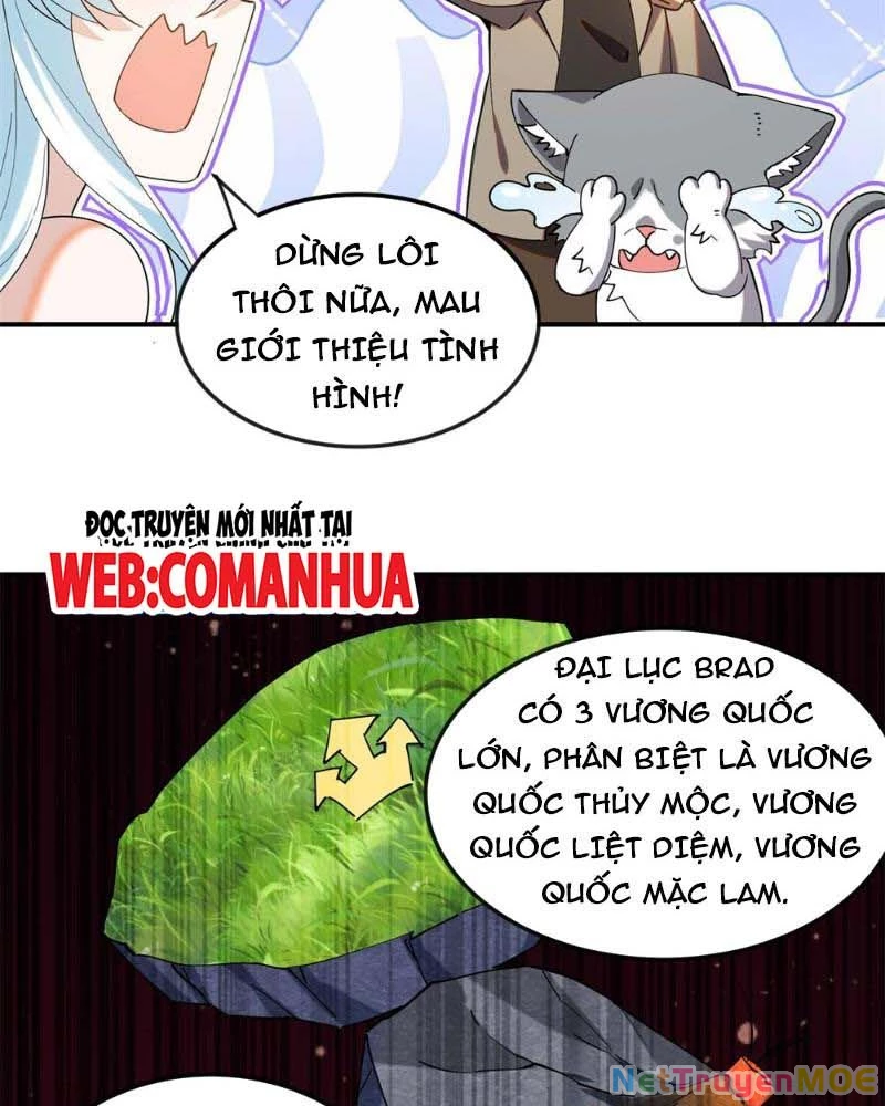 Huyễn Thú Của Ta Có Thể Tiến Hóa Vô Hạn Chapter 11 - Trang 3