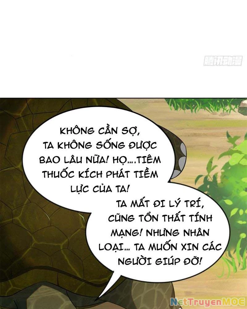 Huyễn Thú Của Ta Có Thể Tiến Hóa Vô Hạn Chapter 12 - Trang 3